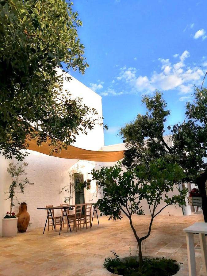 Chambre d’hôte pour 4 personnes, avec terrasse ainsi que vue et piscine à Monopoli - 2