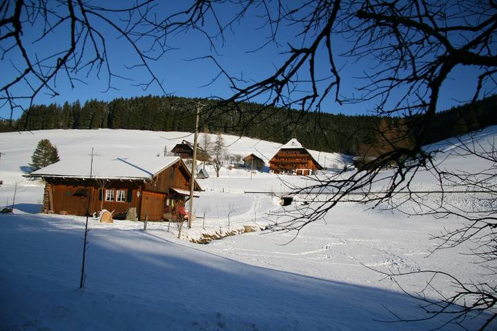 Ganze Ferienwohnung, Balzenhof - Größe: 45 qm in Furtwangen, Mittlerer Schwarzwald