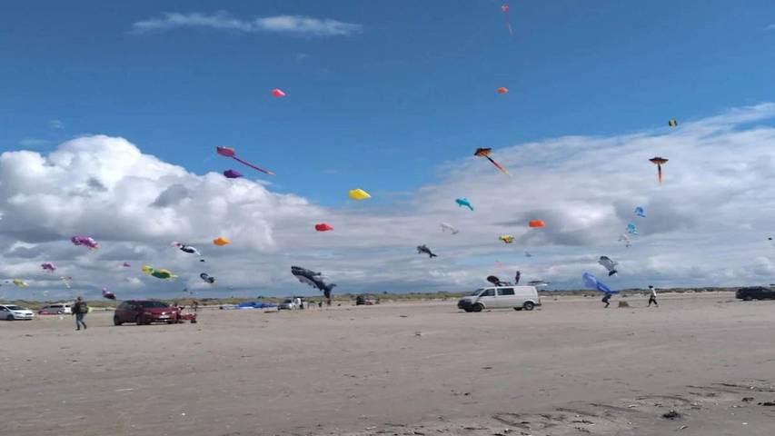 Ferienhaus für 9 Personen, mit Sauna und Whirlpool sowie Terrasse auf Fanø - 3