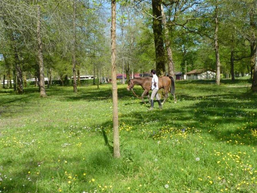 Camping Le Bascat - Mobilhome 4 personas - Riviera in Dax, Region de Dax