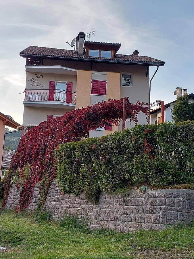 Double Room with Balcony in Cavalese, Fleimstaler Alpen