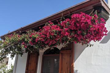 Villa per 6 Persone in La Ciaccia, Valledoria, Foto 1