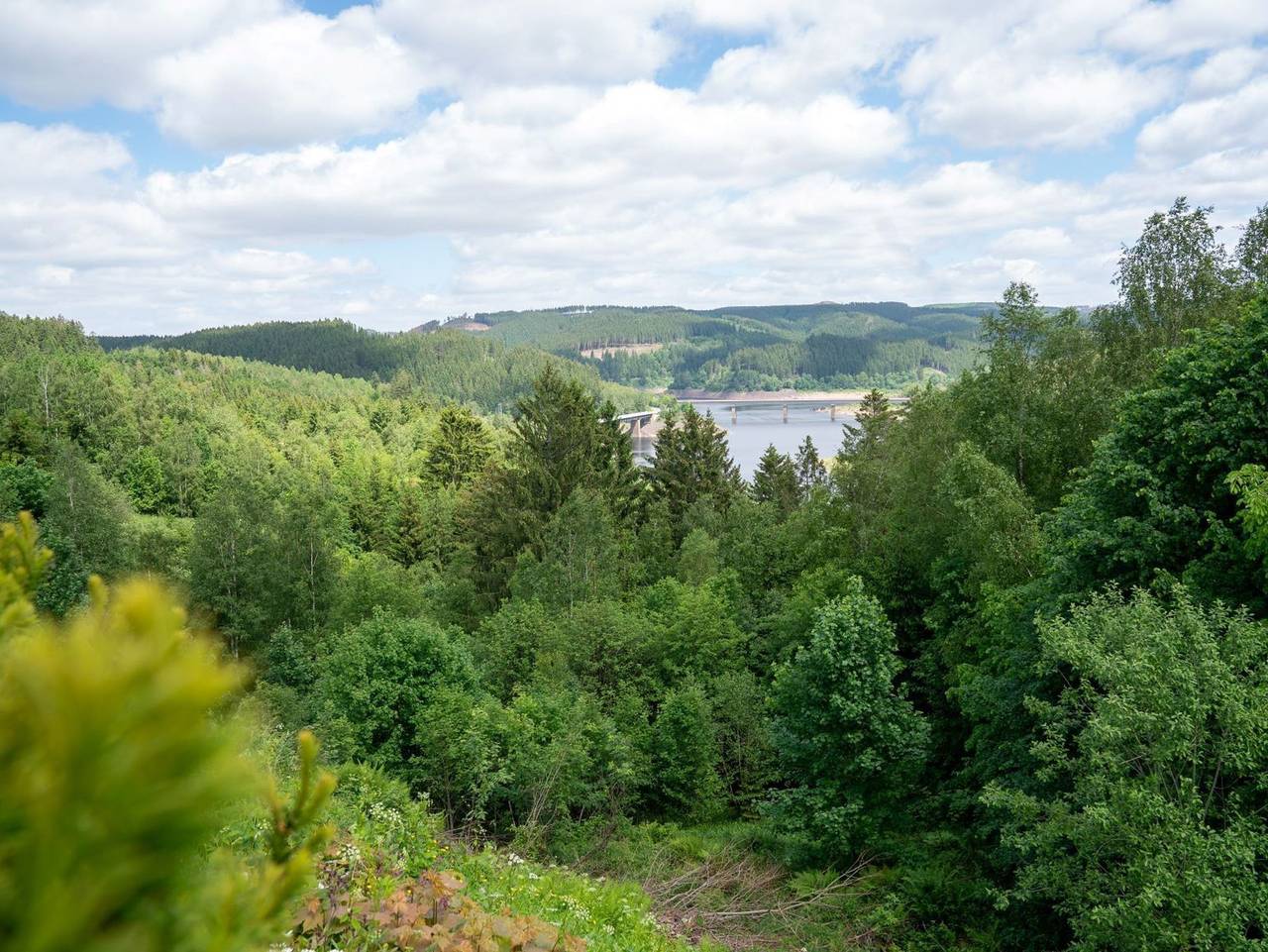 Ganze Ferienwohnung, Fewo Harzer Wiesenberg in Schulenberg im Oberharz, Harzvorland