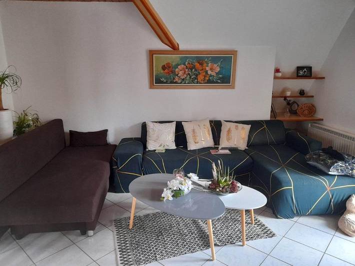 Gîte pour 4 personnes, avec vue et jardin, animaux acceptés à Mutzig - 3