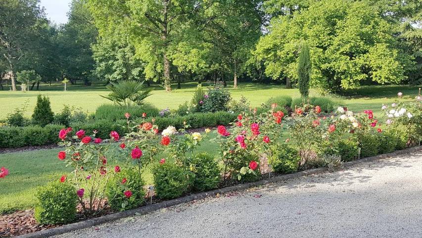 Chambre d’hôte pour 2 personnes, avec vue et jardin à Condom - 4