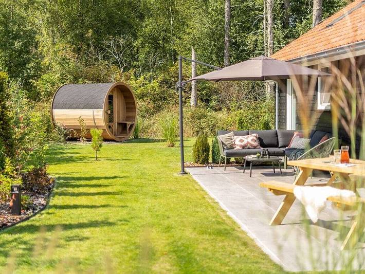 Ferienhaus in Spier mit Schwimmbecken in Nationalpark Dwingelderveld