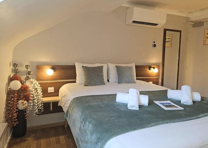 Hôtel pour 3 personnes, animaux acceptés à Les Rosiers-sur-Loire - 2