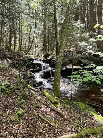 Camping for 2 Guests in Catskill Mountains, New York State, Picture 2