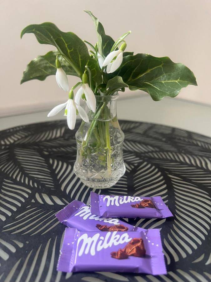 Ferienwohnung für 4 Personen, mit Terrasse und Ausblick, mit Haustier in Feldkirch - 3