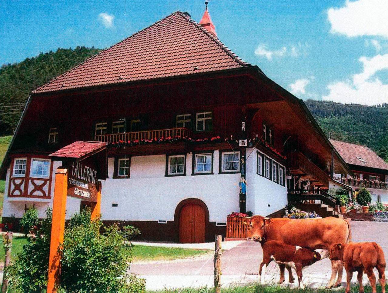 Ganze Wohnung, Ferienwohnung 'Faller' mit privater Terrasse, Balkon und Wlan in Elzach, Mittlerer Schwarzwald