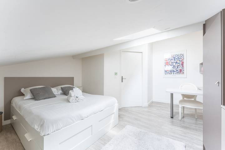 Appartamento intero, Le Petit Chartreux - Cocon sous les toits in Lione, Lione e dintorni
