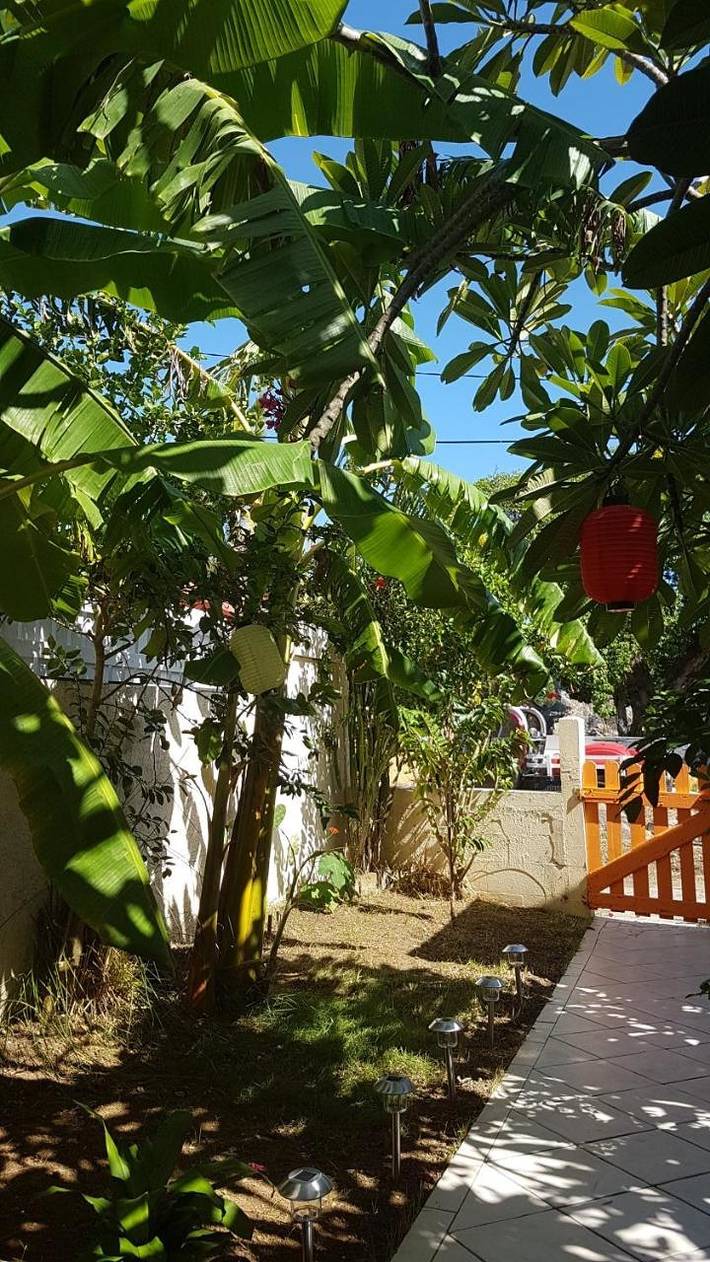 Location de vacances pour 5 personnes, avec jardin à Terre-de-Haut - 3