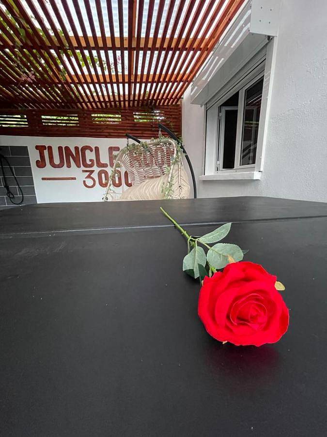 Gîte pour 2 personnes, avec terrasse et jacuzzi à Pamandzi - 3