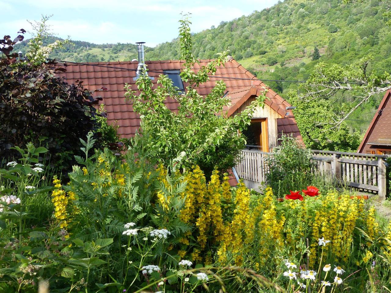 Gîte Saint-Michel in Bourbach-le-Haut, Parc naturel régional des Ballons des Vosges