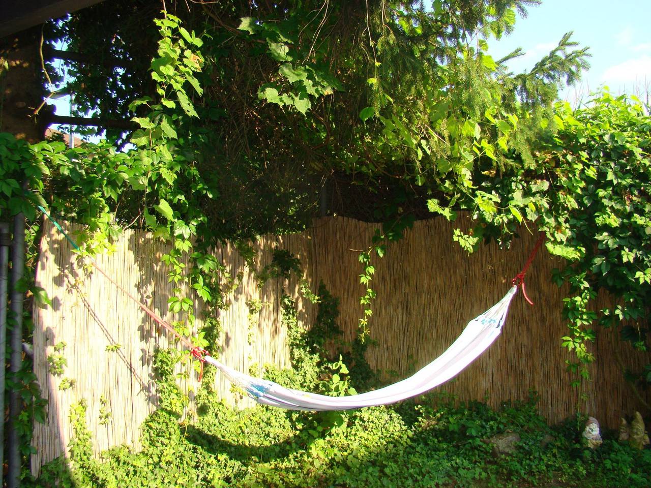 Ganze Wohnung, Wohlfühloase in Steckborn, Untersee