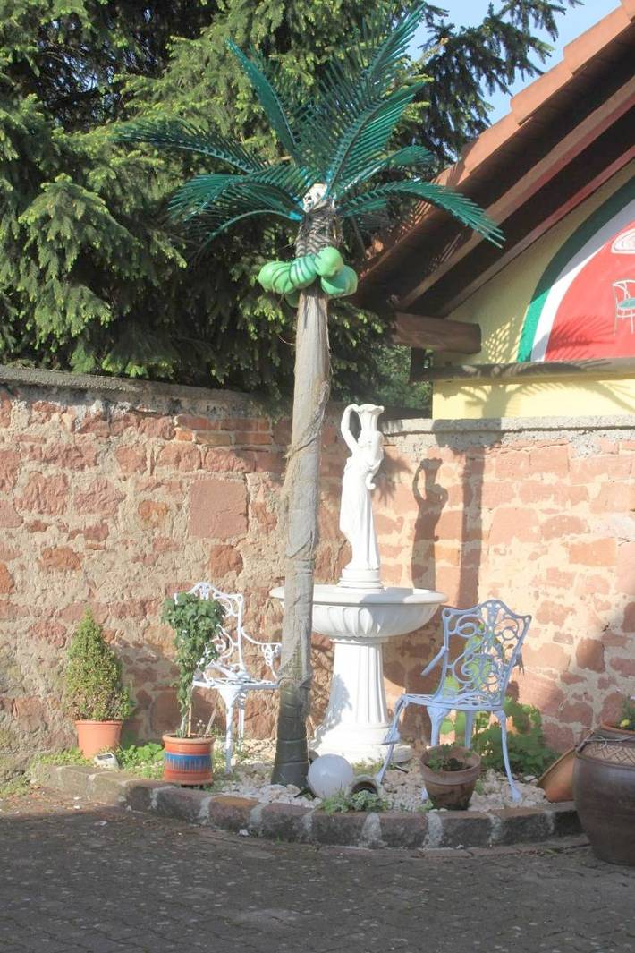 Maison d’hôte pour 2 personnes, avec terrasse, animaux acceptés à Kappel-Grafenhausen - 2