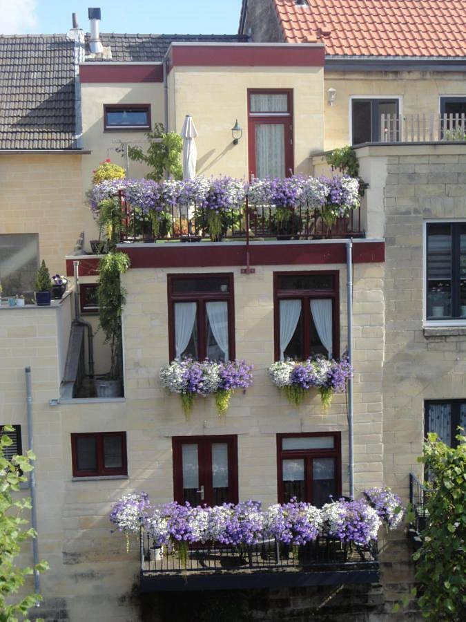 Appartement entier, Appartement aan de Geul in Fauquemont, Limburg (Pays-Bas)