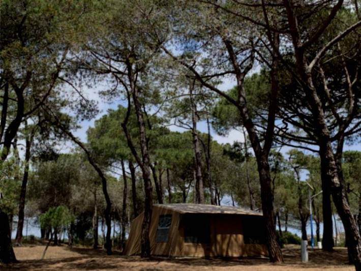 Camping La Tamarissière - Tente 4 personnes - Tente Escapade (sans sanitaires) in la Tamarissière, Agde