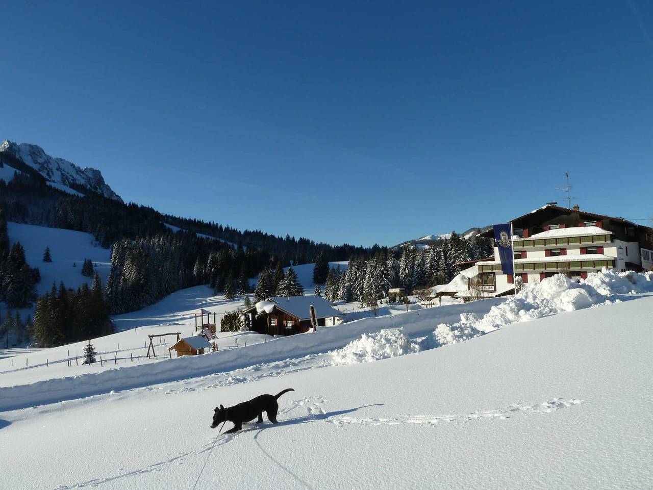 Lärchenhof Jungholz in Jungholz, Bayerische Alpen