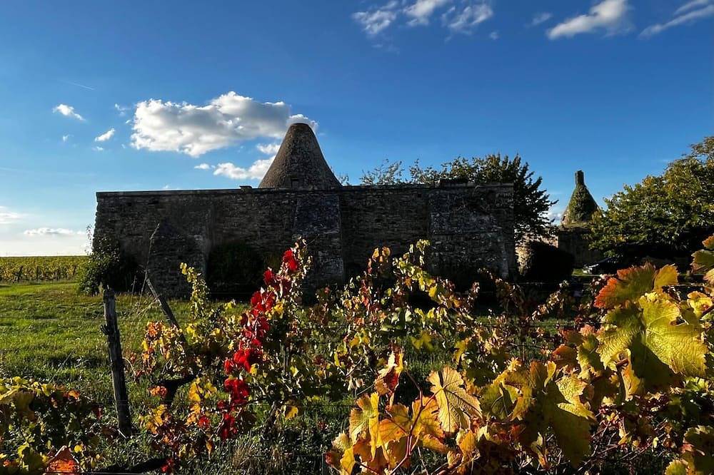 🍇 A mill in the heart of the vineyards! 🌞 Come live and discover Anjou in Montreuil-Bellay, Loire Valley