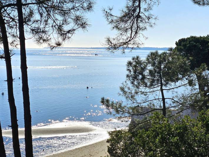 Ferienhaus für 5 Personen, mit Terrasse in Lège-Cap-Ferret - 4