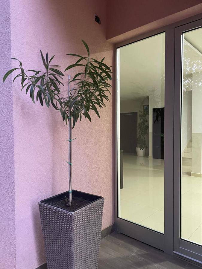 Location de vacances pour 4 personnes, avec terrasse ainsi que vue et jardin dans Međugorje - 3