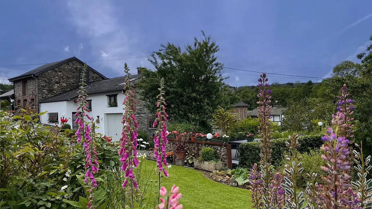 Ferienhaus für 6 Personen (115 m²) in Trois-Ponts in Trois-Ponts, Lüttich und Umgebung