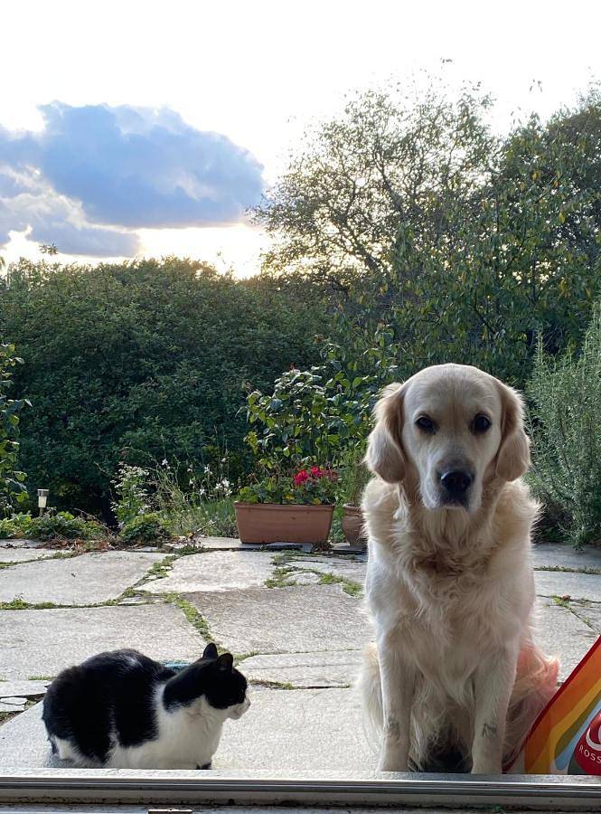 Ferienwohnung für 2 Personen, mit Garten und Ausblick in Rösrath - 3