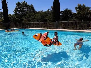 Chalet pour 8 Personnes dans Navarrenx, Pyrénées-Atlantiques, Photo 3