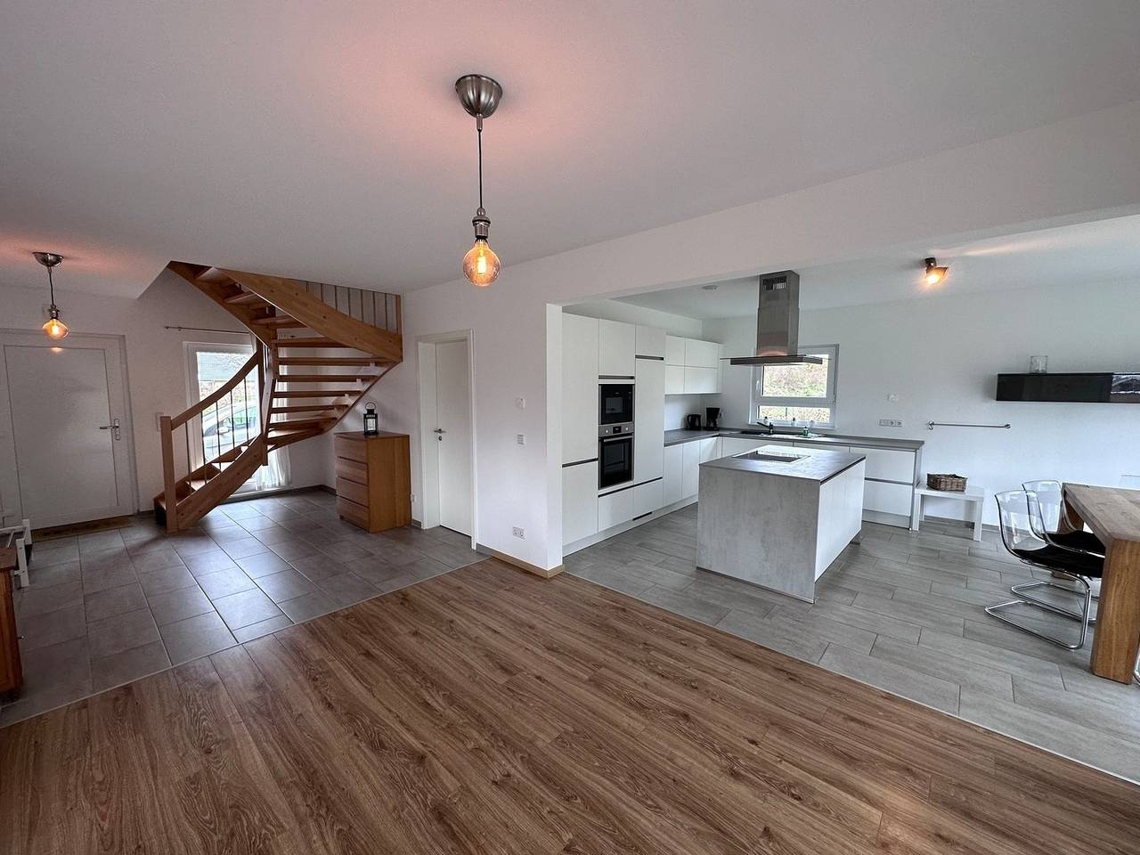 Seemöwe in Lenz, Malchow