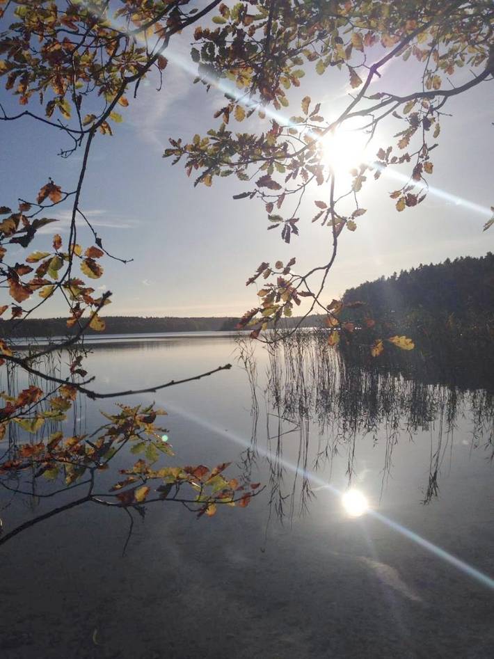 Ferienhaus für 6 Personen, mit Ausblick und Seeblick sowie Garten, mit Haustier in Rheinsberg - 4
