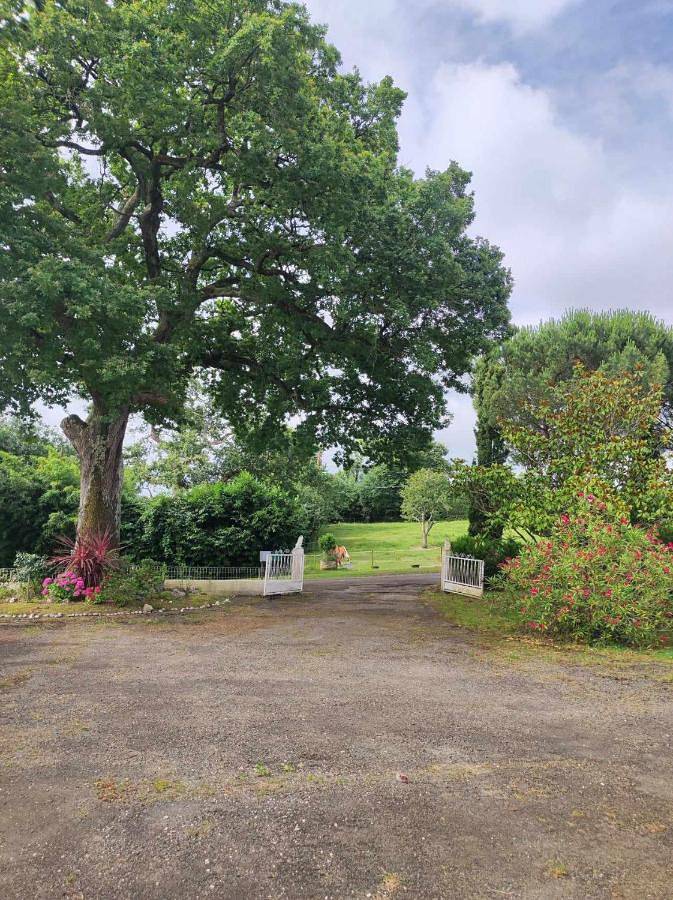 Location de vacances pour 6 personnes, avec terrasse ainsi que jardin et vue à Eauze - 4