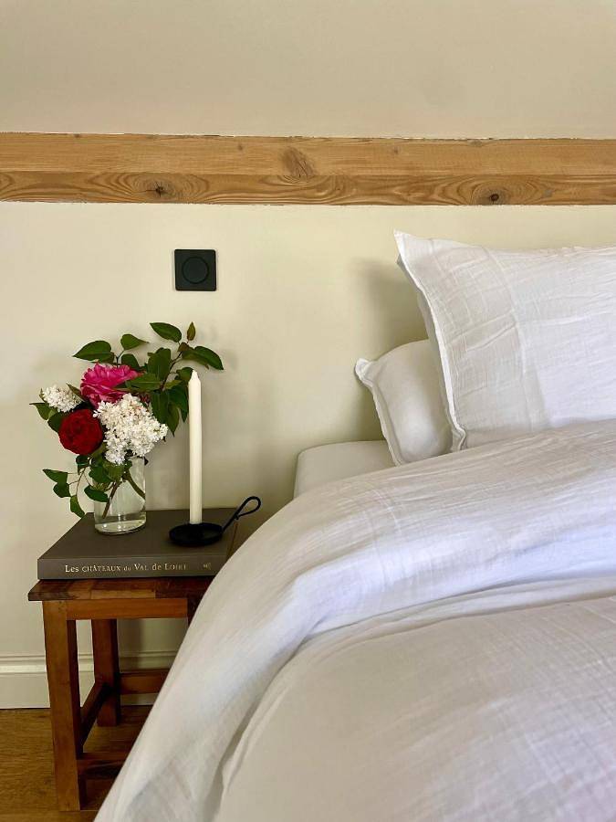 Maison d’hôte pour 2 personnes, avec jardin ainsi que piscine et vue dans Veuzain-sur-Loire - 4