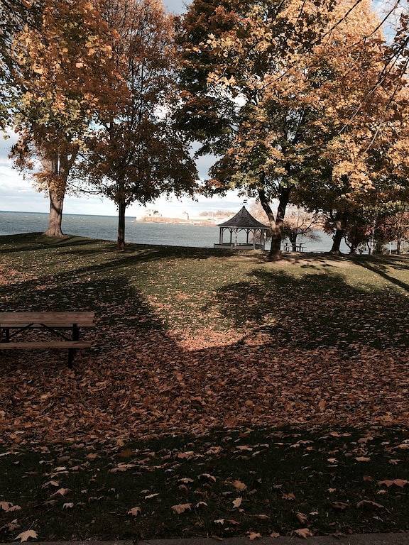 Charmantes historisches Cottage, nur wenige Schritte von Queen, Geschäften, Theater, Restaurants und See entfernt. in Niagara-on-the-Lake, Niagara Fälle