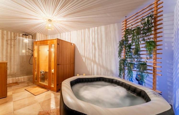 Location de vacances pour 4 personnes, avec jardin et jacuzzi ainsi que piscine et sauna à Piolenc - 2