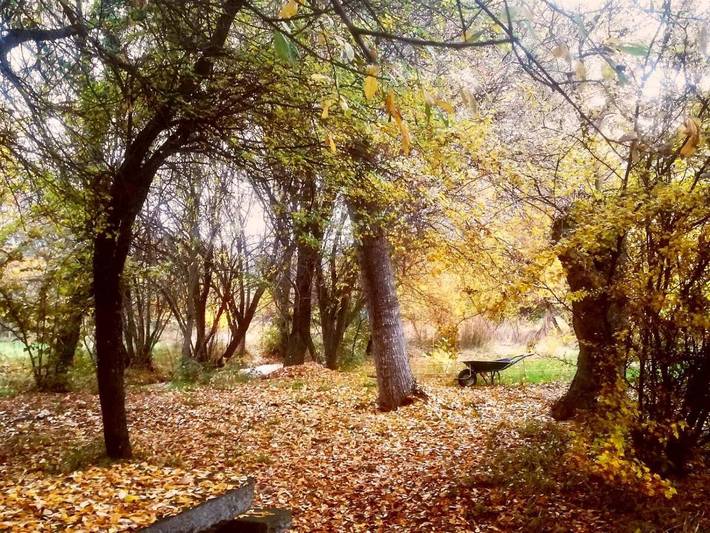 Albergue para 4 personas, con terraza y jardín además de vistas y vistas al lago en Cuenca del Guadarrama - 3