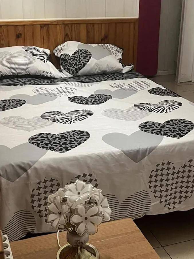 Location de vacances pour 15 personnes, avec jardin à Le Soulié
