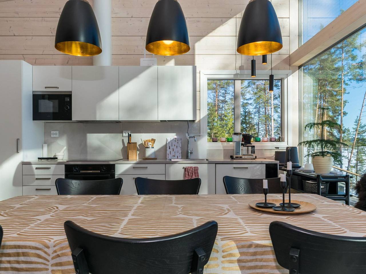 Villa luoto in Jyväskylä, Päijänne