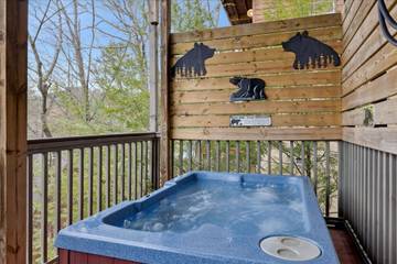 Vacation Apartment for 12 Guests in Pigeon Forge, Sevier County, Picture 1