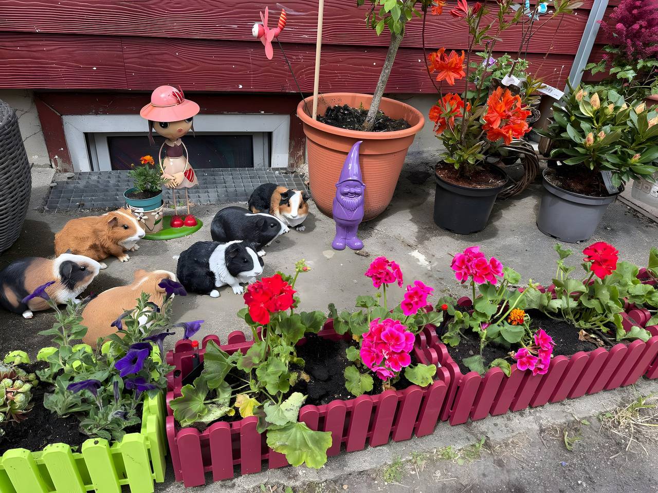 Appartement „Silbergarten" met wifi, foto 13