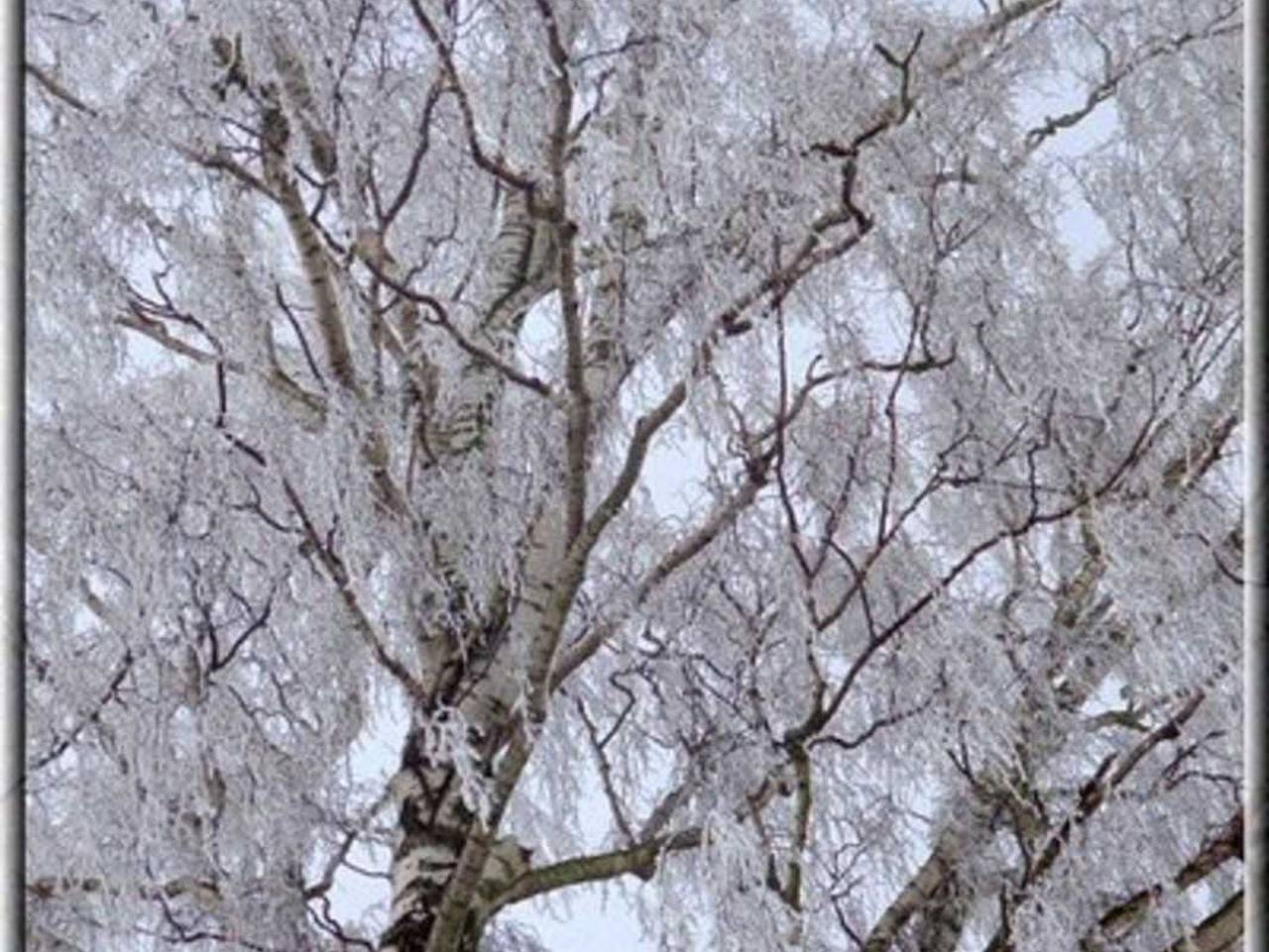 Ganze Ferienwohnung, Ferienwohnungen Furch - Ferienwohnung Sa3 in Gothensee, Heringsdorf