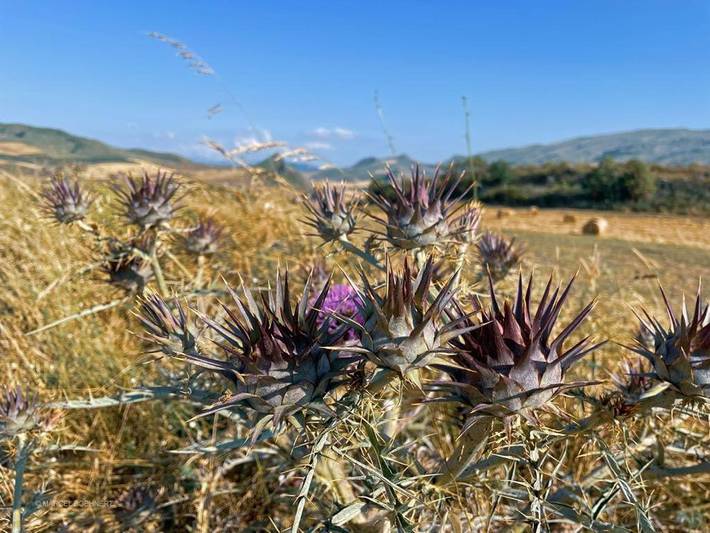 Chambre d’hôte pour 3 personnes, avec vue et balcon à Corleone - 3