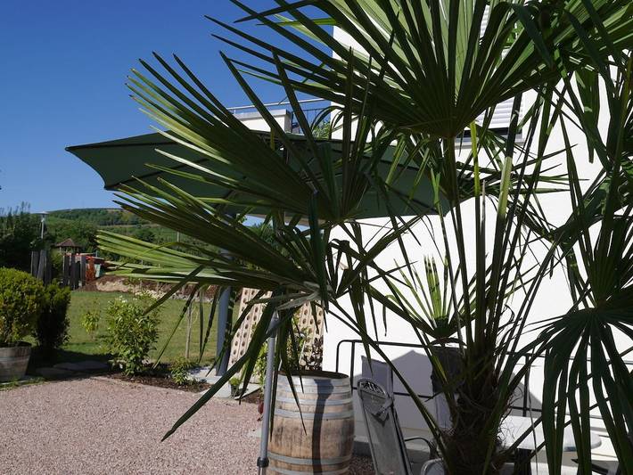 Ferienhaus für 3 Personen, mit Balkon in Kaiserstuhl - 2