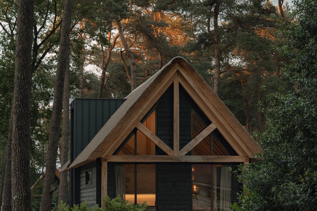 Resort Hof van Nassau — Naturhaus mit Hottub | 6 Personen in Baarle-Nassau, Nordbrabant