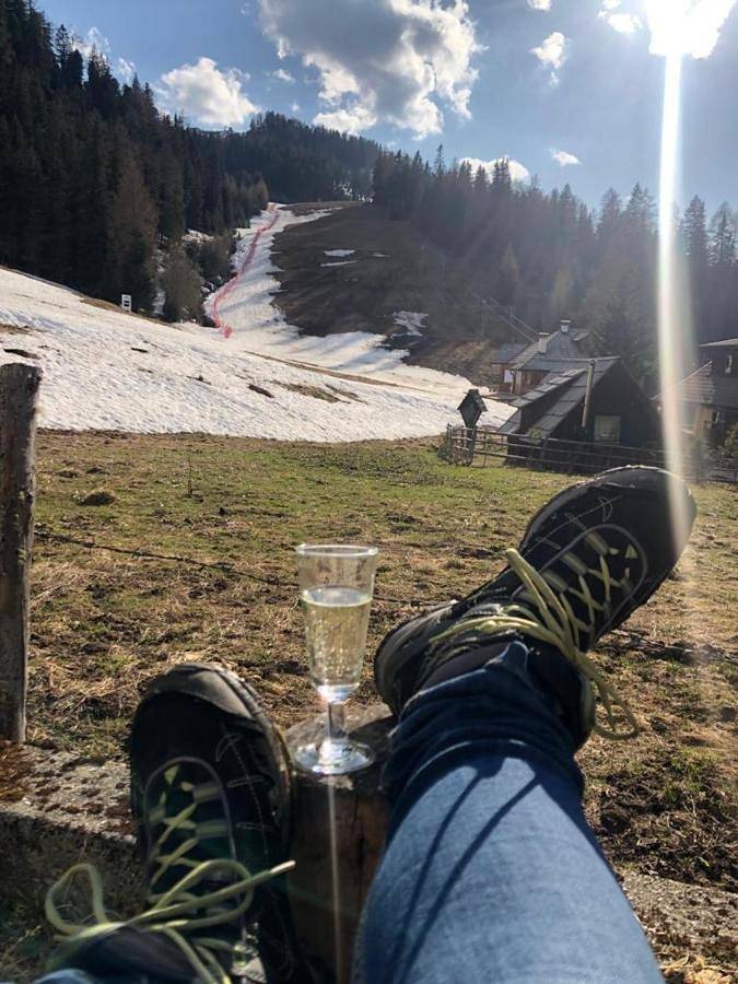 Ferienhaus für 10 Personen, mit Garten und Ausblick, mit Haustier in Lieser-Maltatal - 3
