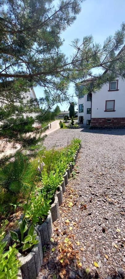Ferienwohnung für 3 Personen, mit Terrasse und Garten sowie Ausblick in Busenberg