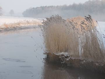 Ferienwohnung für 5 Personen, mit Garten und Terrasse in Ostrhauderfehn