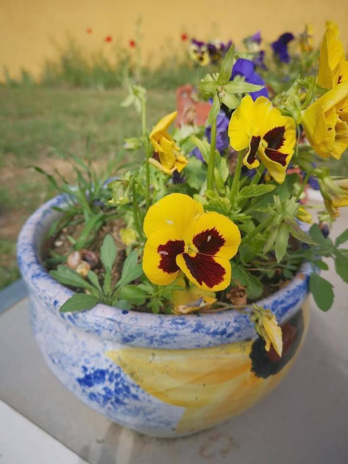 Location de vacances pour 4 personnes, avec vue et jardin à Mornas - 4