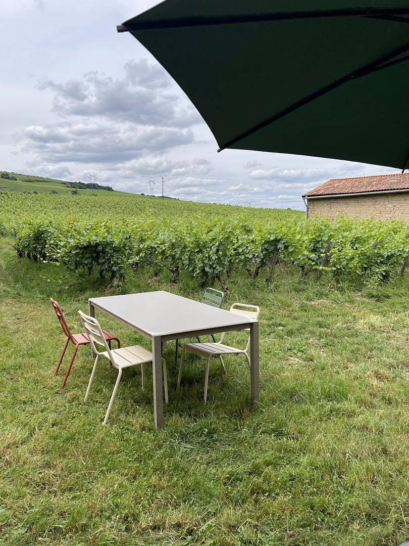 Domaine Jubare in Fuissé, Région de Mâcon