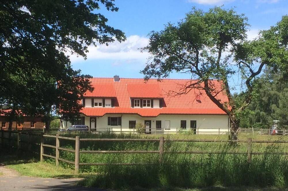 Ganze Wohnung, Erholung inmitten der Lüneburger Heide - Ferienhaus Schaepe in Amelinghausen, Nordheide